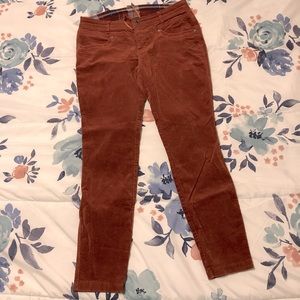 Kuhl Brookes skinny pants